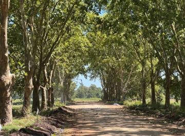 Terreno · 813m² · Venta de Lote en Estancia Carabassa | Vco Propiedades