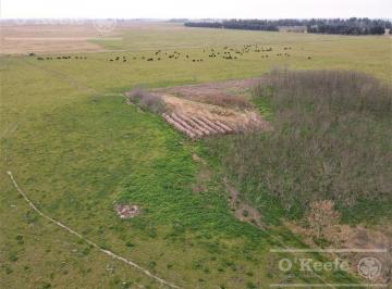 Campo · 1700000m² · Campo Mixto de 170 Has en San Vicente. Oportunidad!