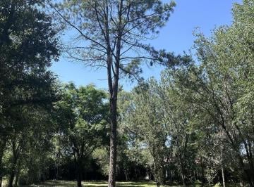 Terreno · 2600m² · Terreno en Venta Villa Allende Golf Villa Allende Guayaquil