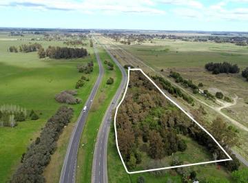 Campo · 13000m² · Mar del Plata - 1.3 Ha Sobre Autovía 2