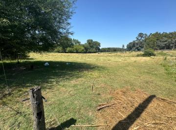 41X60 · Venta de Lotes en La Elena Tandil Calle Colihue