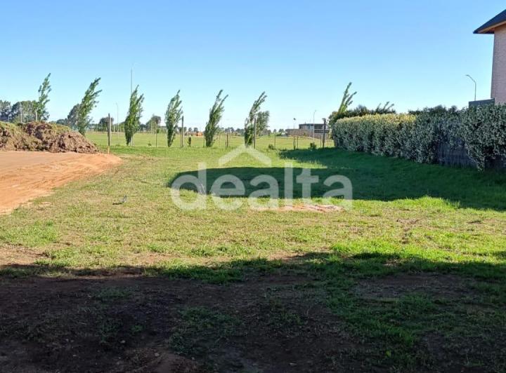 Terreno · 620m²