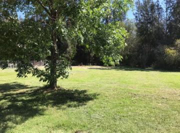 Terreno · 15000m² · Fraccion en Venta en Ing. Maschwitz de 1,5has Sobre La Pista