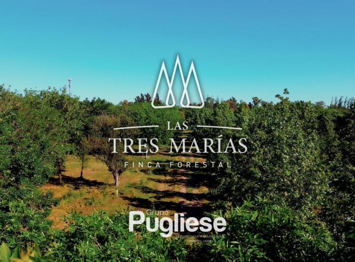 Terreno · 374m²