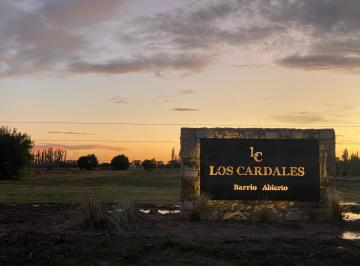 Terreno · 330ha · Terrenos en San Rafael - Mendoza