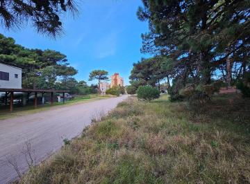 SRD-SRD-544_2 · Lote. | Paseo 147