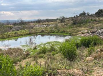 Foto1 · Vende Chacra en Pueblo Eden de 5 Ha