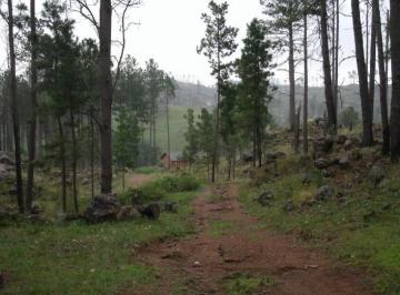 Terreno , Yacanto · Venta de 50 Has en San Miguel de Los Rios - Inv0138