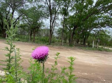 Terreno , Los Reartes · Venta de Fracción en Loma Dorada en Los Reartes - Tlc0770