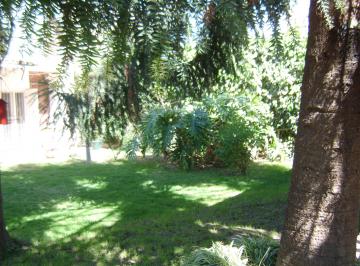 Amplio jardìn con Pinos y Tilos · El Jardìn Secreto