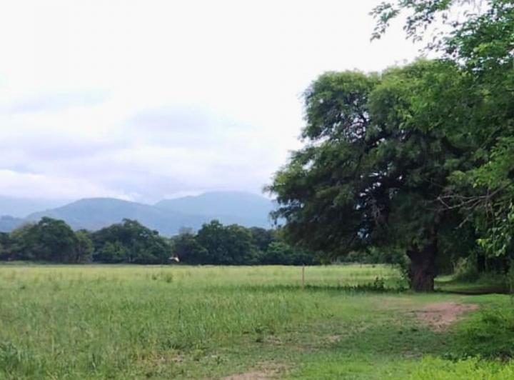 Terreno · 15000m²