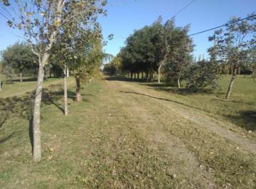 Terreno , Villa María · Venta: Lotes Amplios de 2500 m² en "Chacras de La Villa " Entre Vm y Tio Pujio