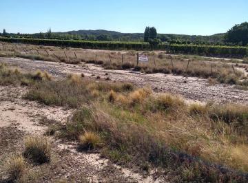 Terreno , Agrelo · Acceso Sur y Ruta 7 a Chile Esquina Nor - Este Agrelo Lujan de Cuyo