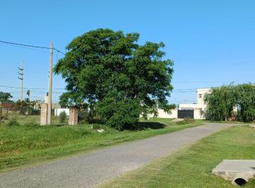 Terreno , Funes · Usd 50.000 Contado Frente Norte Funes Town - Al Lado de Vida Lagoon