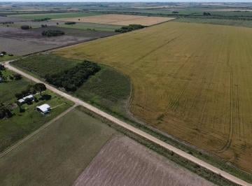 Campo · 230000m² · Campo en Victoria
