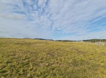 Campo , Tandil · Importante Predio en Avda. Calihue Circuito Turístico