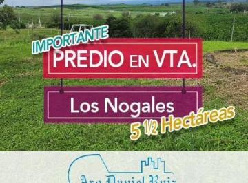 Terreno · 55000m² · Importante Predio en Venta en Los Nogales (Consultar Divisiones)