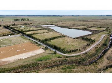 Terreno , Funes · Venta Terreno 1 Hectárea - Chacras del Lago - Haras de Funes