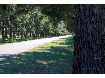 Terreno · 1035m² · Lotes Haras de Funes