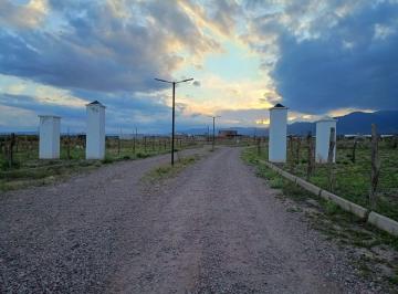 Terreno , Luján de Cuyo · Lote a La Venta en Lujan de Cuyo, B° "Viñedos del Piedemonte".