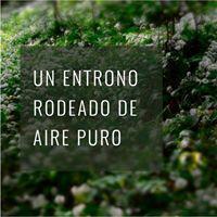 Terreno · 1300m² · Terreno - Greenville Polo & Resort