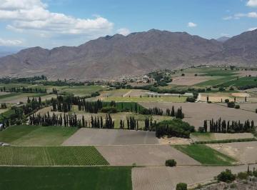 Campo · 130000m² · Finca en Venta en Cachi