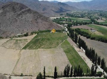 Campo · 130000m² · Finca en Venta en Cachi