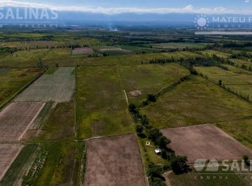 Campo · 730000m² · Finca Inculta en Tunuyan