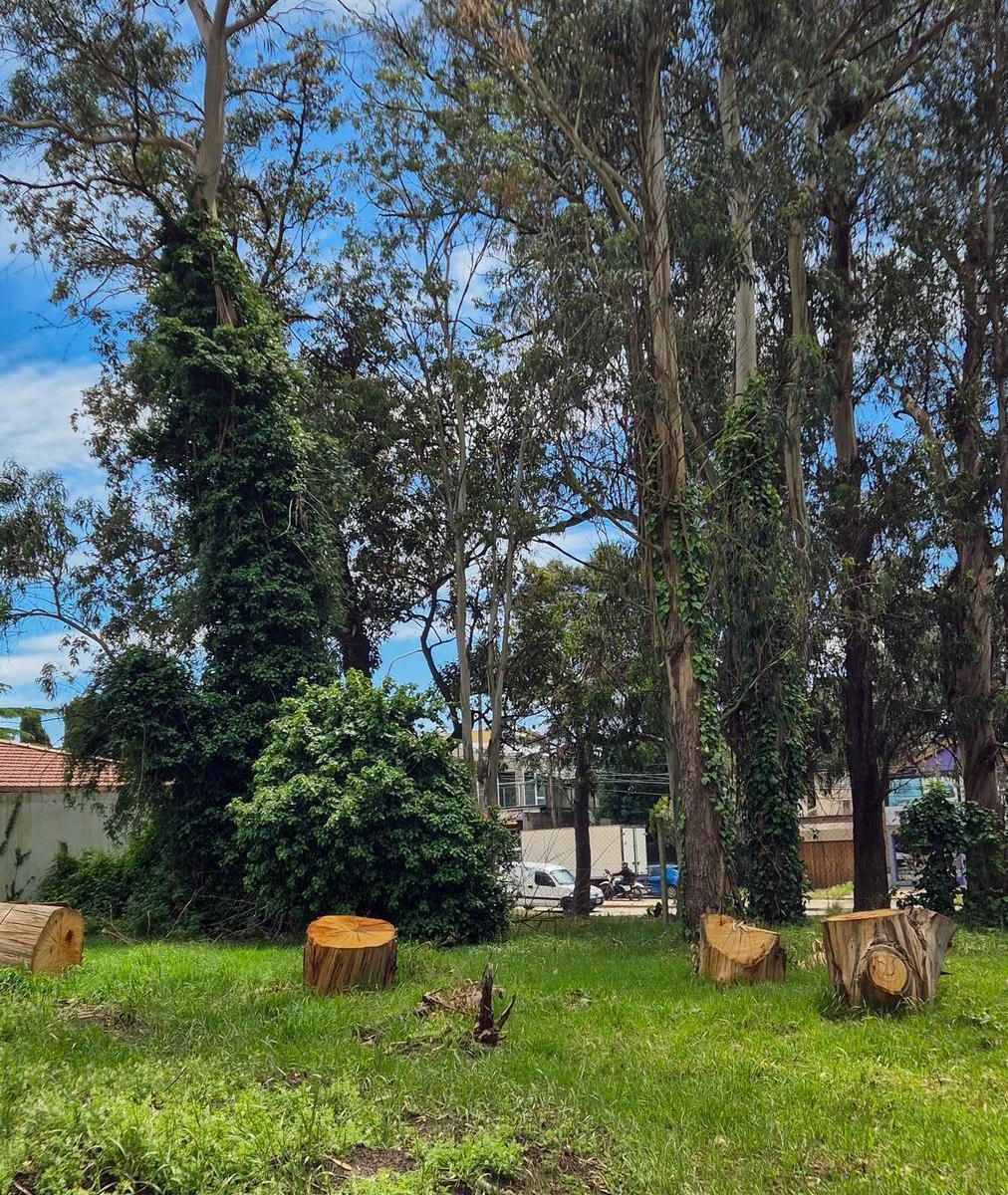 Lote de 378 m² en Bosque Peralta Ramos sobre asfalto