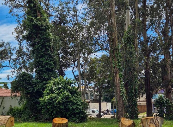 Terreno · 378m²