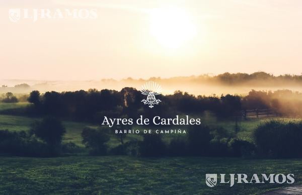 Desarrollo horizontal · Ayres de Cardales