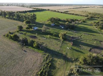 Campo · 150m² · 3 Dormitorios · Campo en Venta de 520 Has Mixtas en Entre Rios