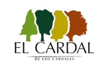 Terreno · 1002m² · Lote en Venta en El Cardal III