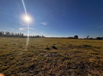 Campo , Mercedes · Campo en Mercedes 12 Hectáreas