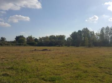 Terreno , La Primavera · ¡Susolución Inmobiliaria Vende Lotes, Ideal Para Inversión!