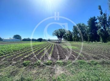 Campo · 15000m² · 1 Ambiente · Campo Barrio Los Troncos 1.5 Ha Mercedes