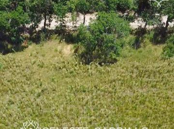 Terreno · 2941m² · Venta - Lote - Terreno en Remanso - Exaltación de La Cruz
