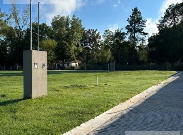 Terreno · 311m² · Lanzamiento - Desarrollo Pinazo Chico - del Viso