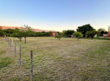 Terreno · 1100m² · Terreno con Excelente Vista en Barrio Piedra Pintada
