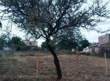 Terreno · 1000m² · "Lote en Mirador del Lago con Vista"