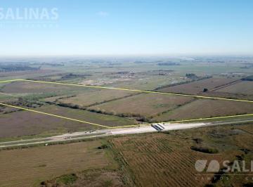 Campo · 1400000m² · Campo Sobre Ruta 6 en Cañuelas