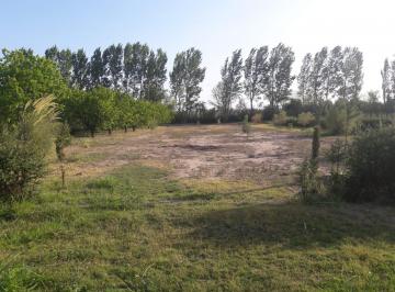 Terreno , San Rafael · Lote Ejercito de Los Andes Al 5600 Rama Caida