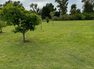 Terreno , Brandsen · Fracción de 1000 m² en Venta