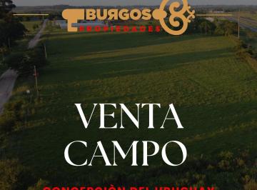 Campo , Concepción del Uruguay · Excelente Fraccion de 5has en Concepciòn del Uruguay