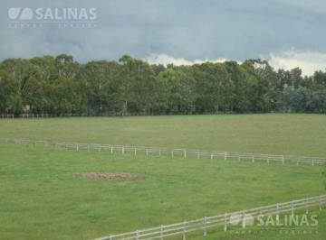 Campo · 1300000m² · Haras en San Andrés de Giles