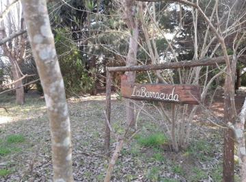 Terreno , Mar de Ajó · Lote en Mar de Ajo'