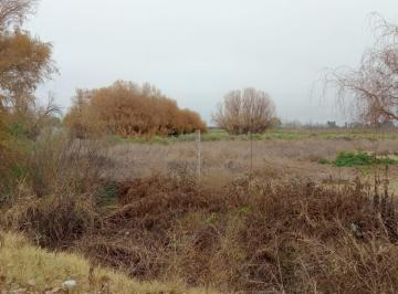 Terreno · 4000m² · Lote de Terreno en General Alvear Mendoza