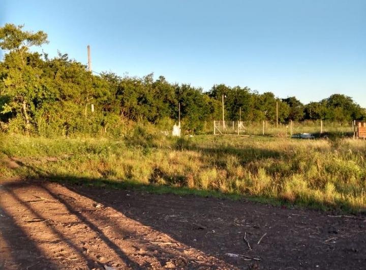 Terreno en venta en Arturo Segui