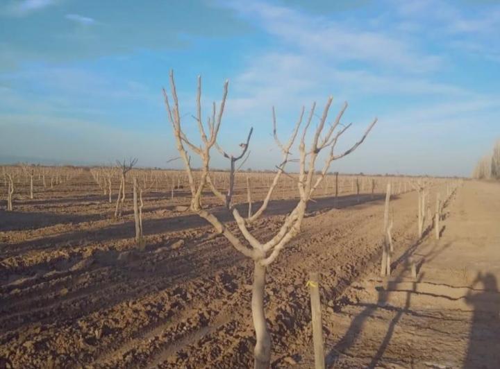 Terreno · 1ha · 1 Ambiente