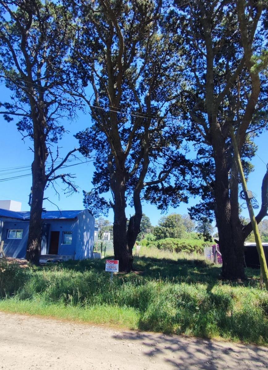 Terreno 288m² en Los Acantilados con entorno arbolado